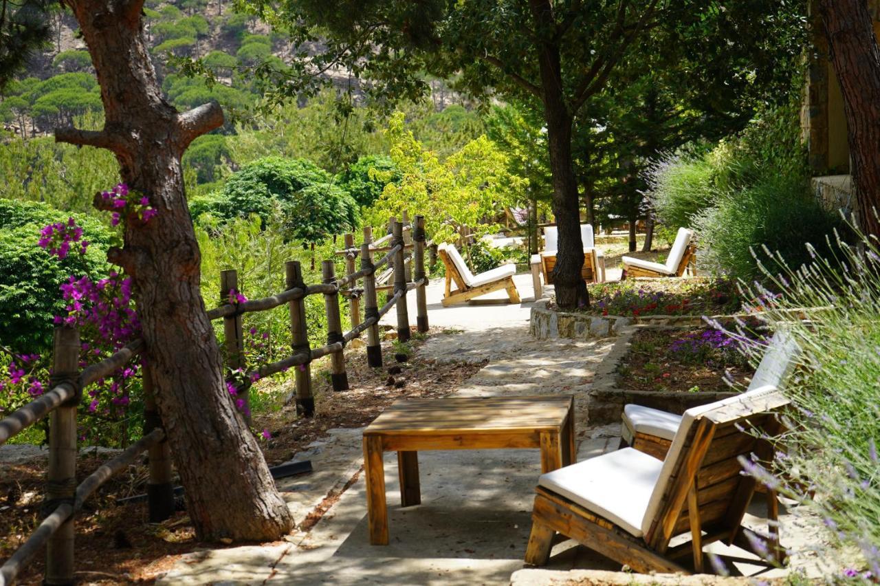 Blue Jay Valley Jezzîne Dış mekan fotoğraf