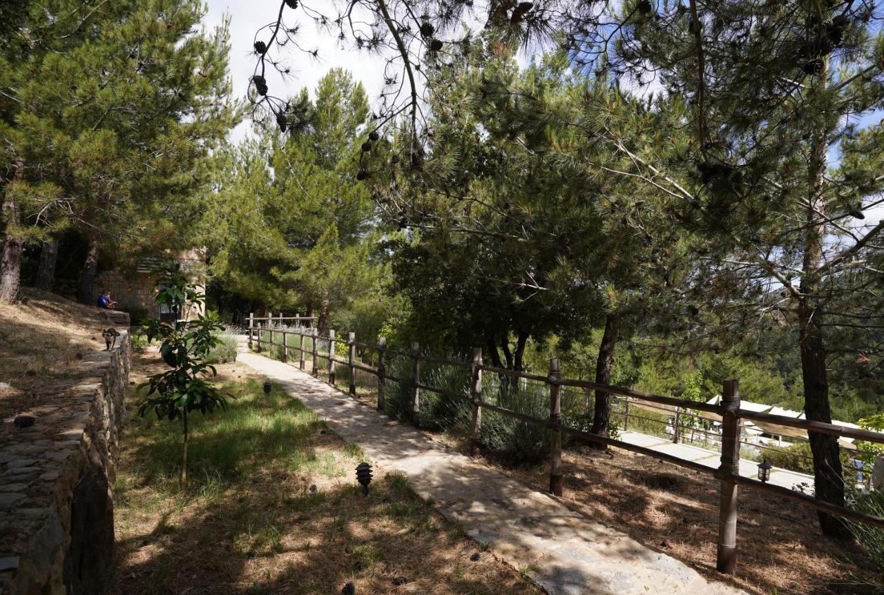 Blue Jay Valley Jezzîne Dış mekan fotoğraf