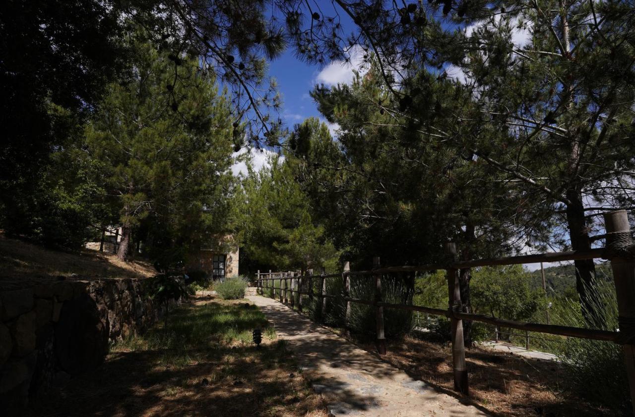 Blue Jay Valley Jezzîne Dış mekan fotoğraf